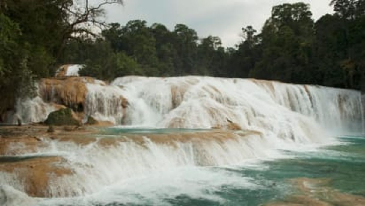 Place Cascadas De Agua Azul Chiapas