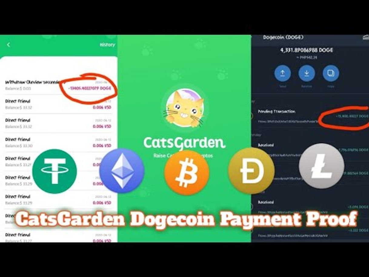 App Catsgarden