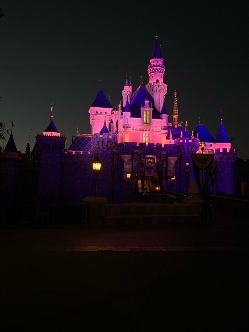 Lugar Disneyland