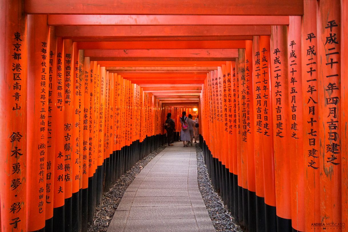 Place Fushimi Inari Taisha Shrine Senbontorii
