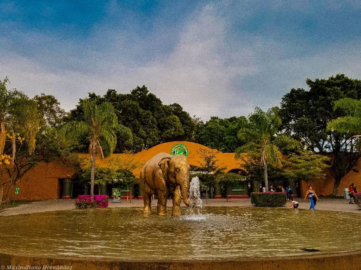 Place Zoológico Guadalajara