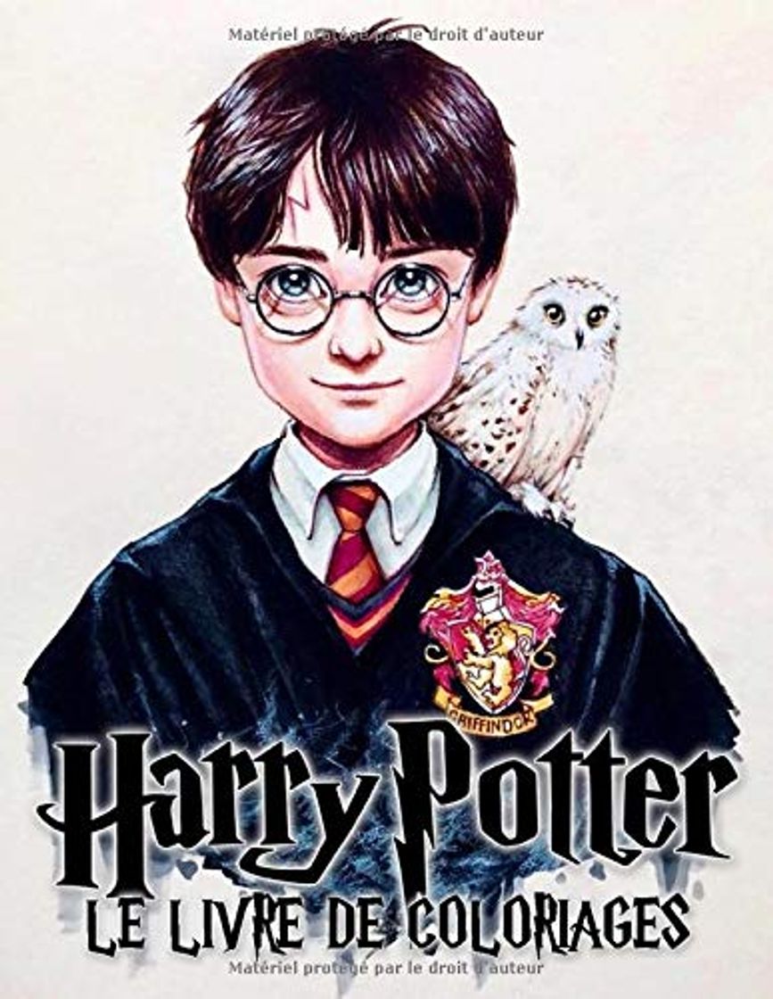 Libro Harry Potter Le Livre De Coloriages