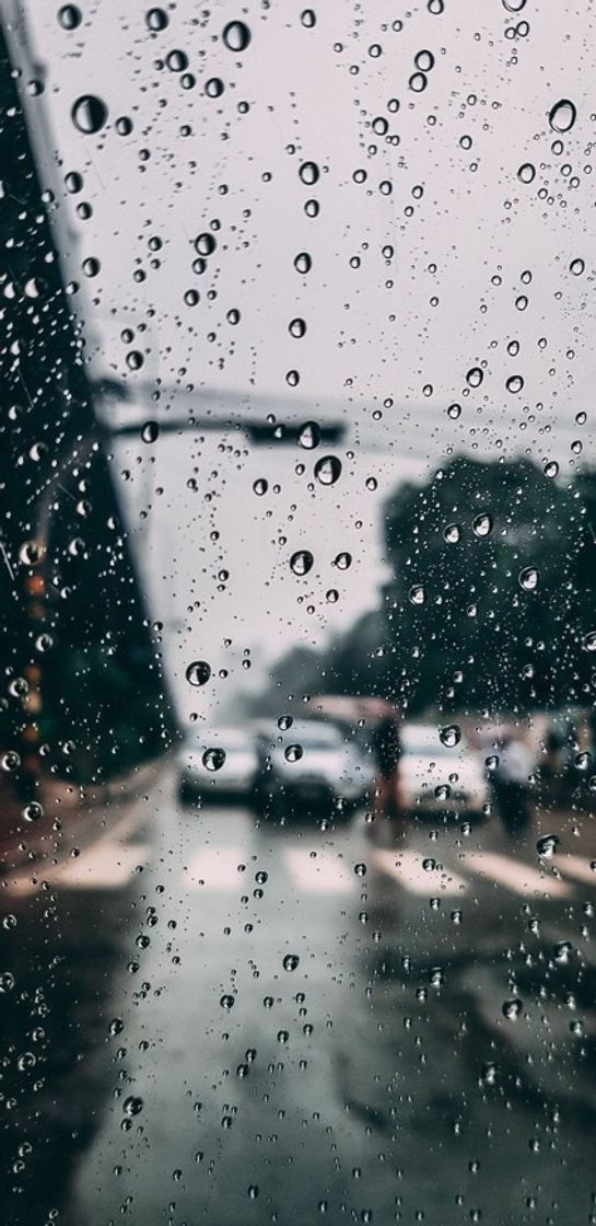 Fashion Rainy wallpaper 