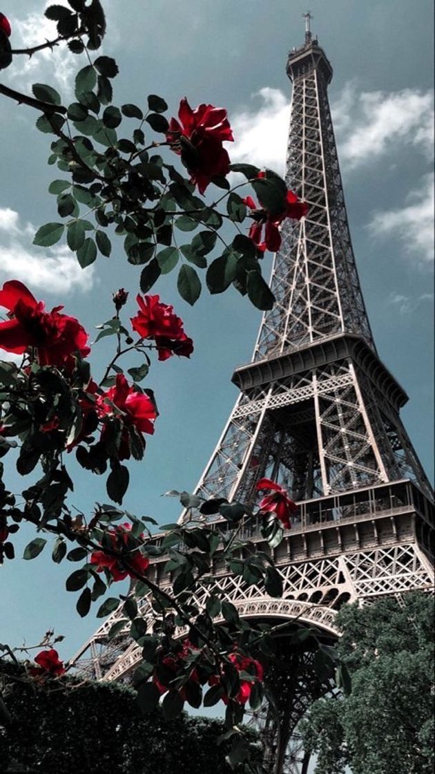 Places PARIS Wallpaper 