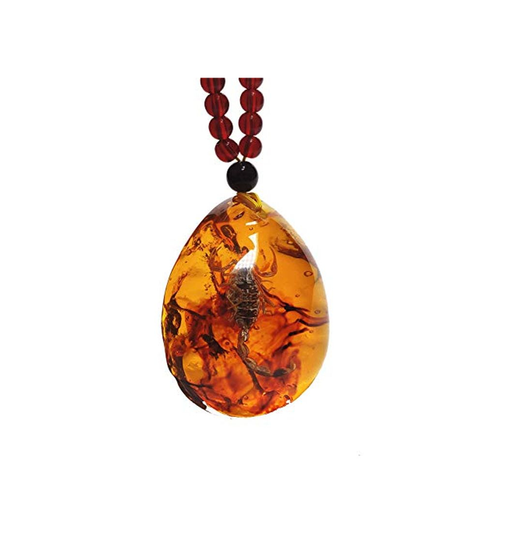 Social yigedan Collar de ámbar Scorpion King True Insectos muestras Colgante Collar