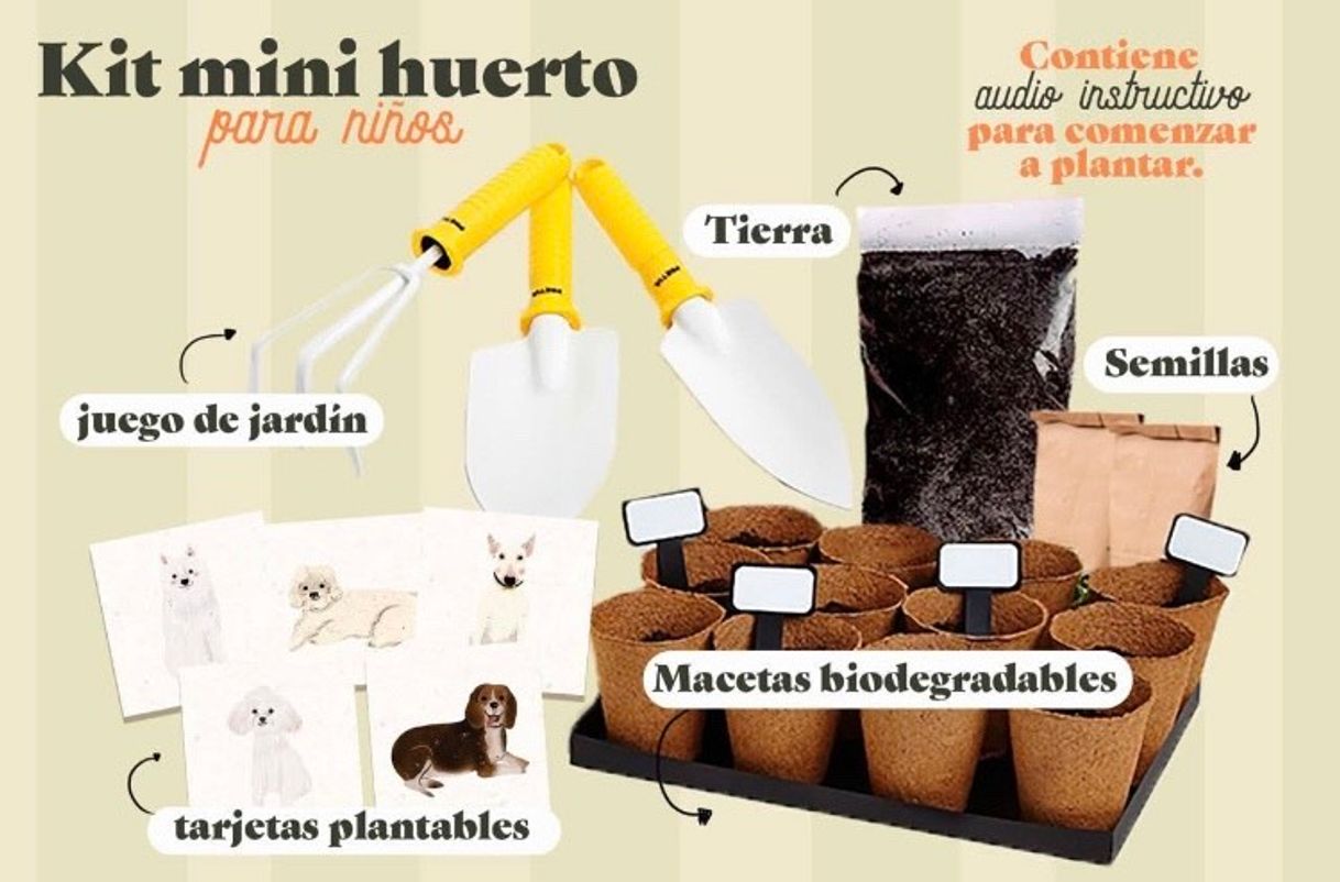 Fashion Kit mini huerto para niños 🌱