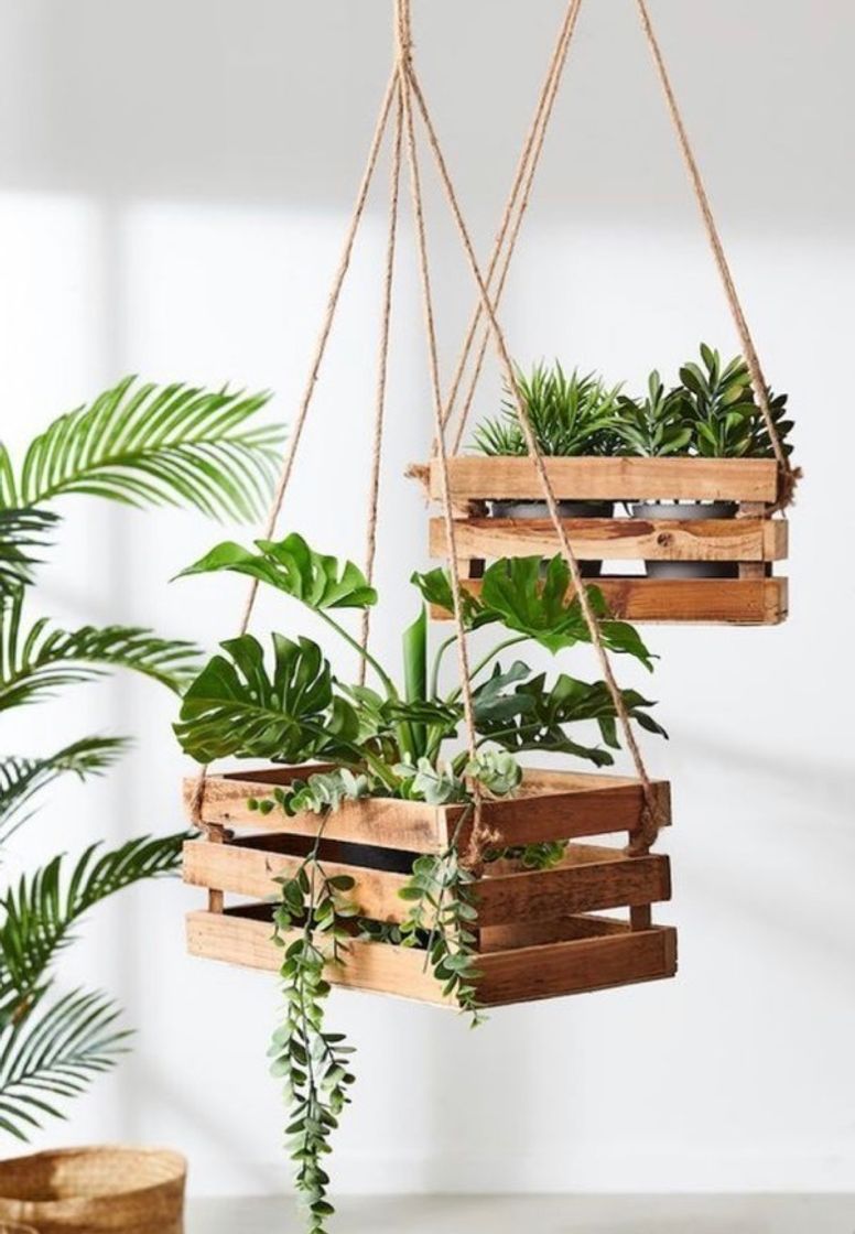 Social Planta artificial cheflera 65 cm altura