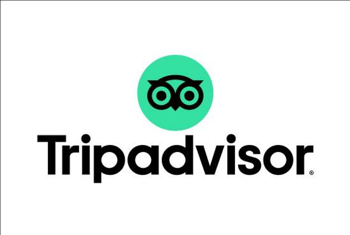 Moda Servicio de administración de TripAdvisor para tu negocio 