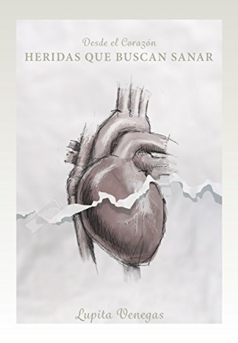 Book Heridas que buscan sanar