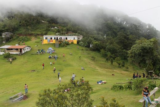 El Pital Bosque Nebuloso