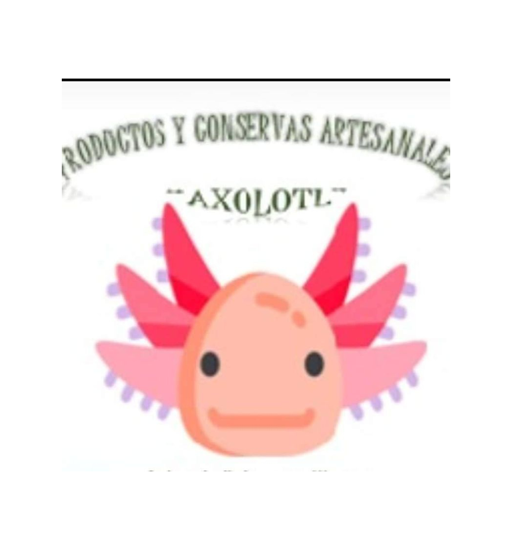 Product Axolotl Artesanal - Home