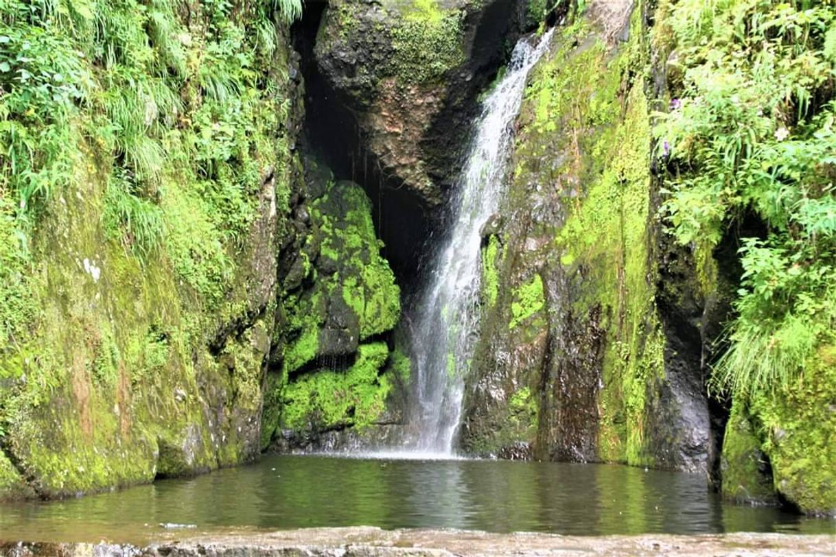 Lugar Cascada De Los Venaditos