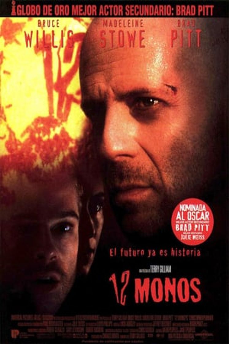 Película 12 monos