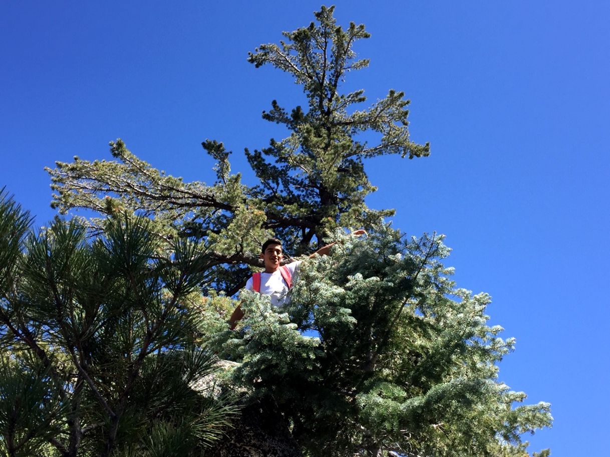 Lugar Parque Nacional Sierra de San Pedro Mártir