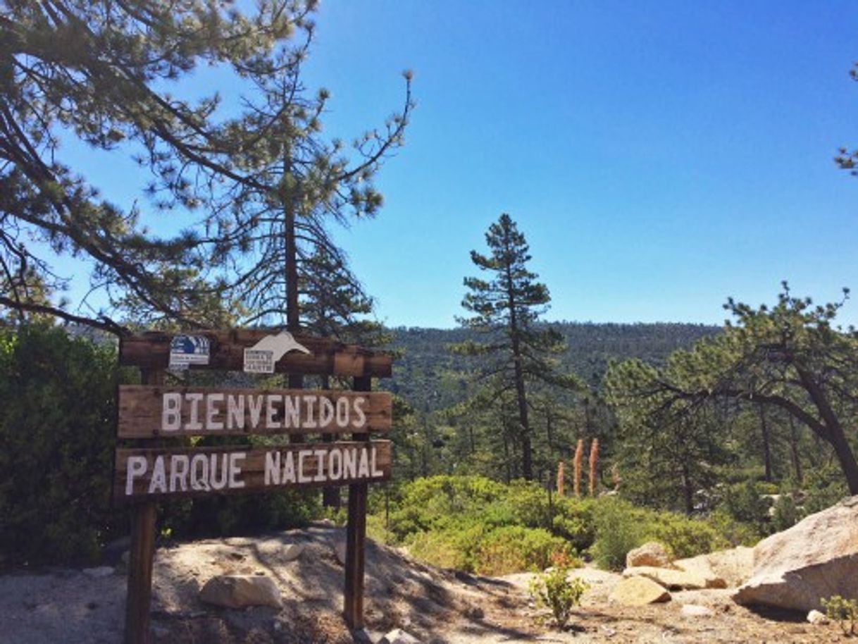 Lugar Sierra San Pedro Martir
