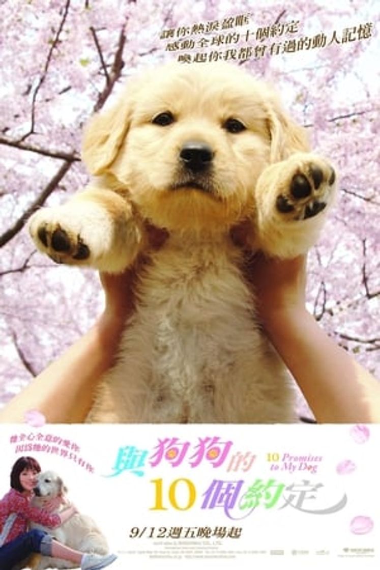 Movie 10 Promises to My Dog