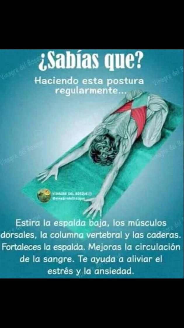 Social Ejercicio postural