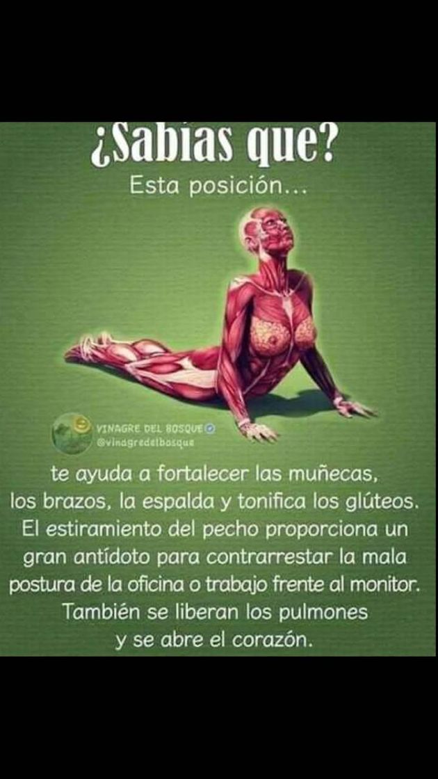Social Ejercicio postural