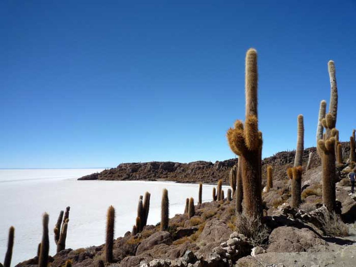 Lugar Isla Incahuasi