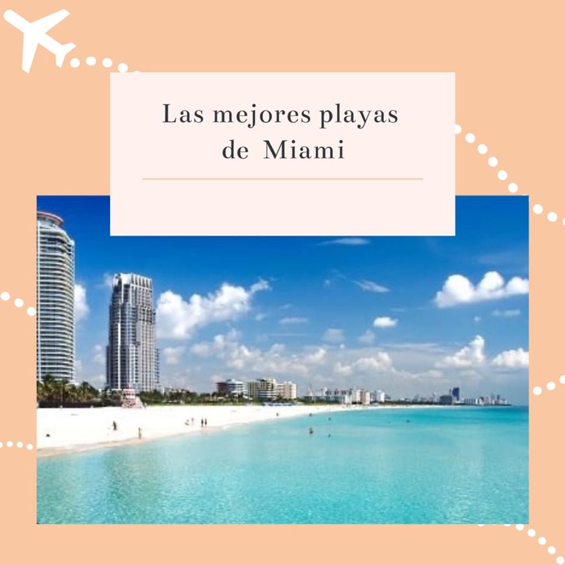 Place Mejores playas que visitar en Miami 