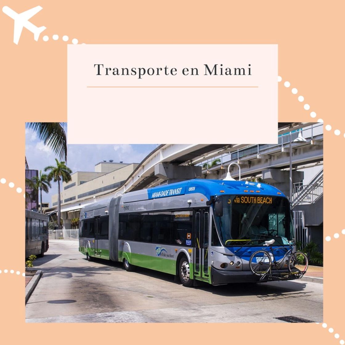 Place Cómo moverse por Miami: Transporte y guía de movilidad