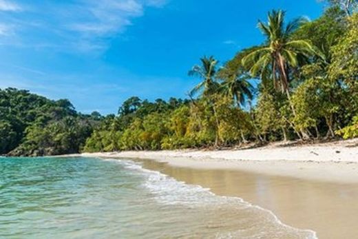 Playa Manuel Antonio