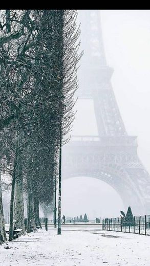 París, Francia 🇨🇵