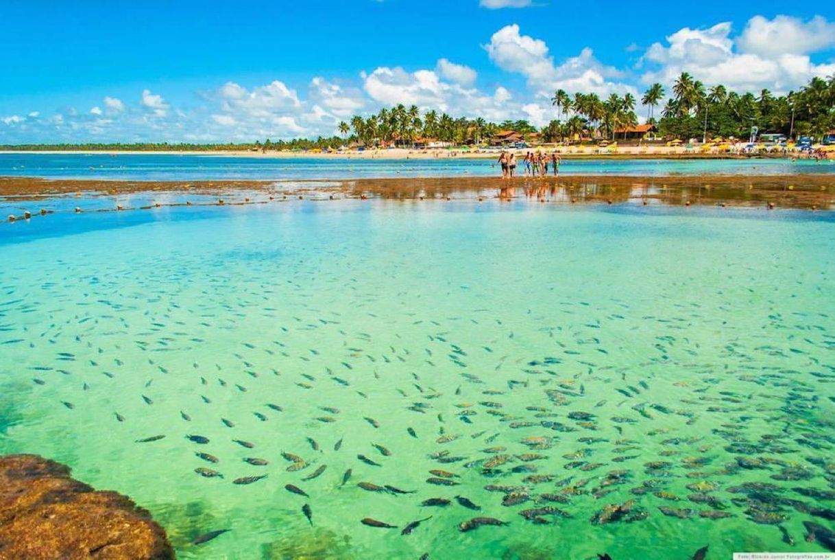 Lugar Porto de Galinhas