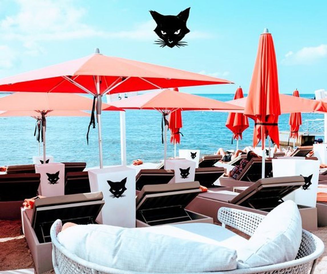 Restaurants Nine Lives