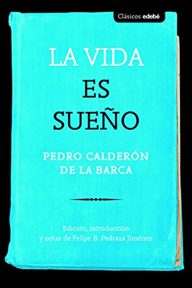 Libro La vida es sueño: Edición y guía de lectura de Evangelina Rodríguez Cuadros 