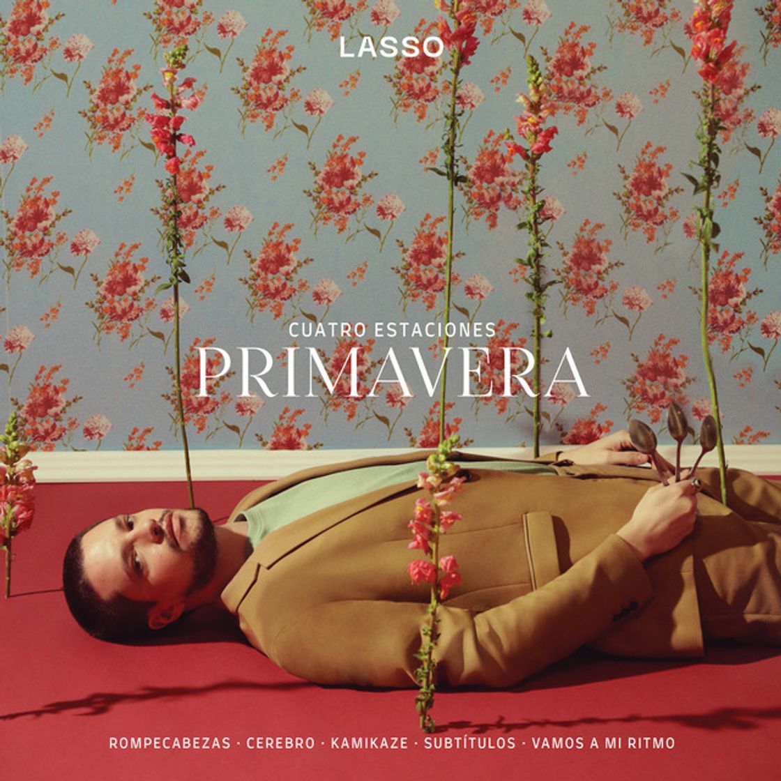 Canción Rompecabezas