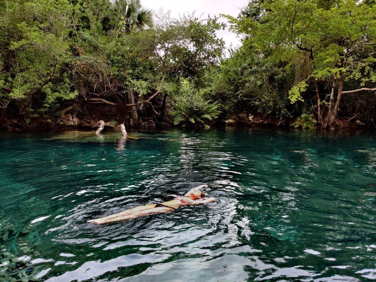 Lugar Natura Park Beach Eco Resort & Spa