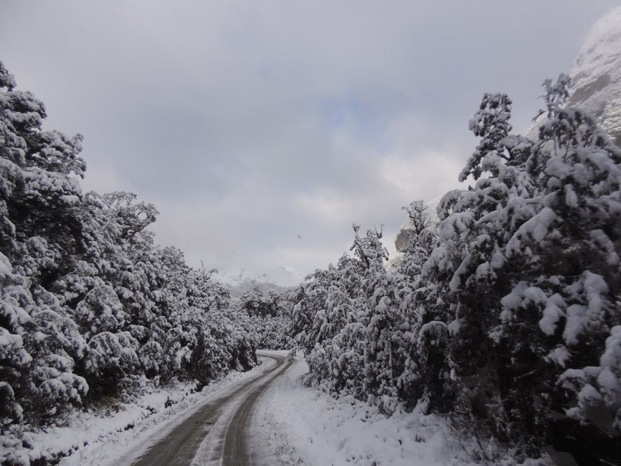 Lugar Nueva Zelanda