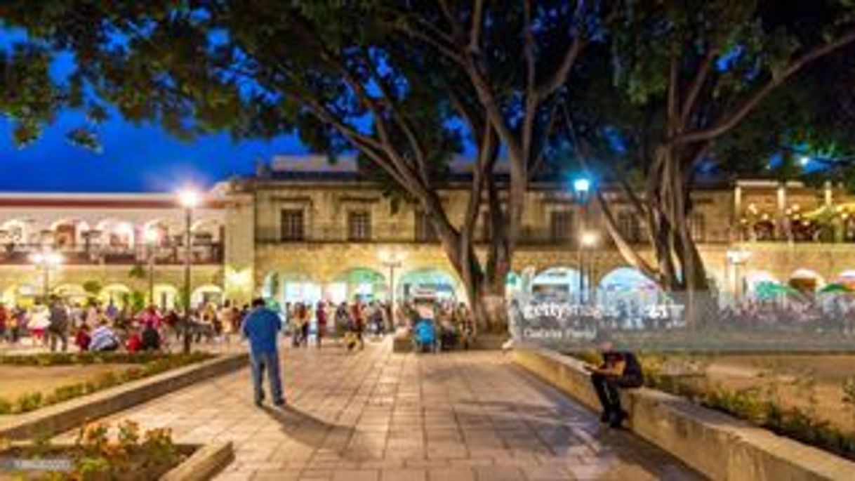 Place Zocalo Oaxaca