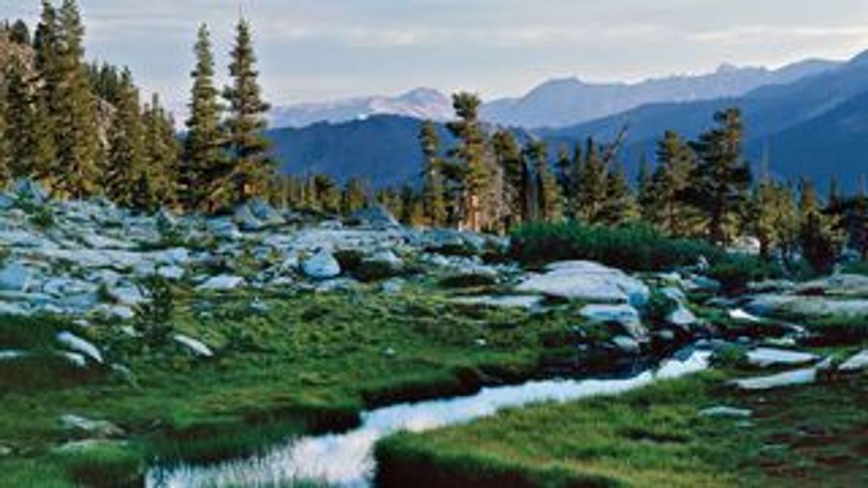 Lugar Kings Canyon National Park