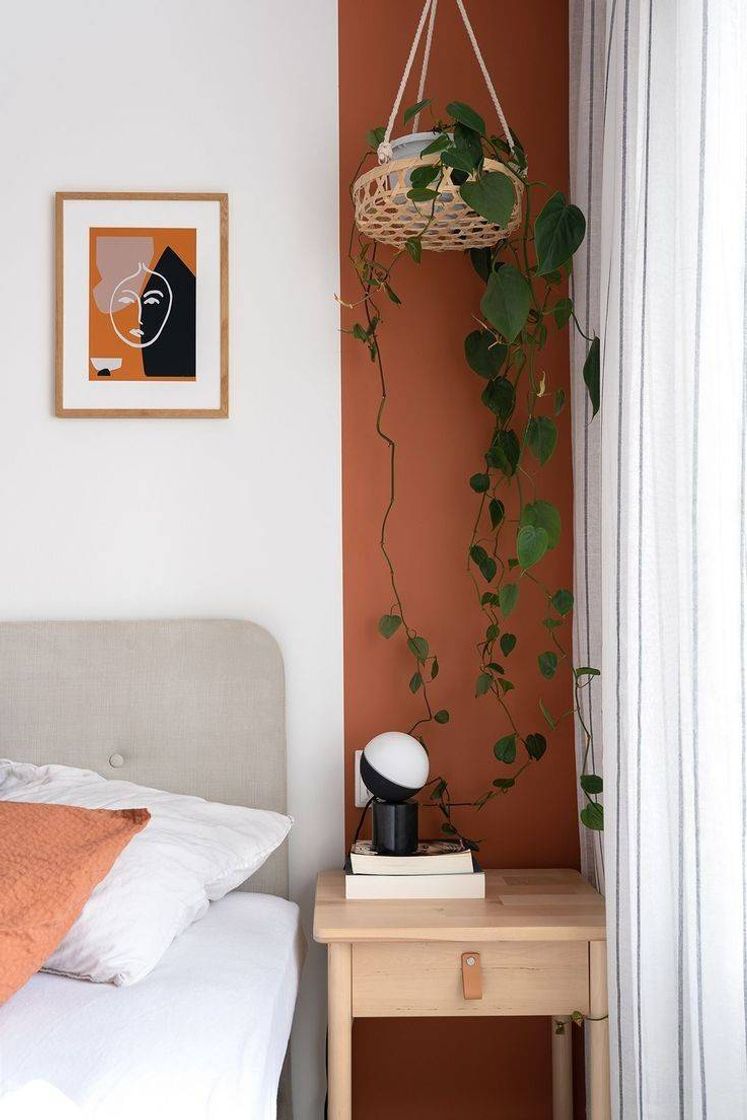 Fashion Plantas no quarto