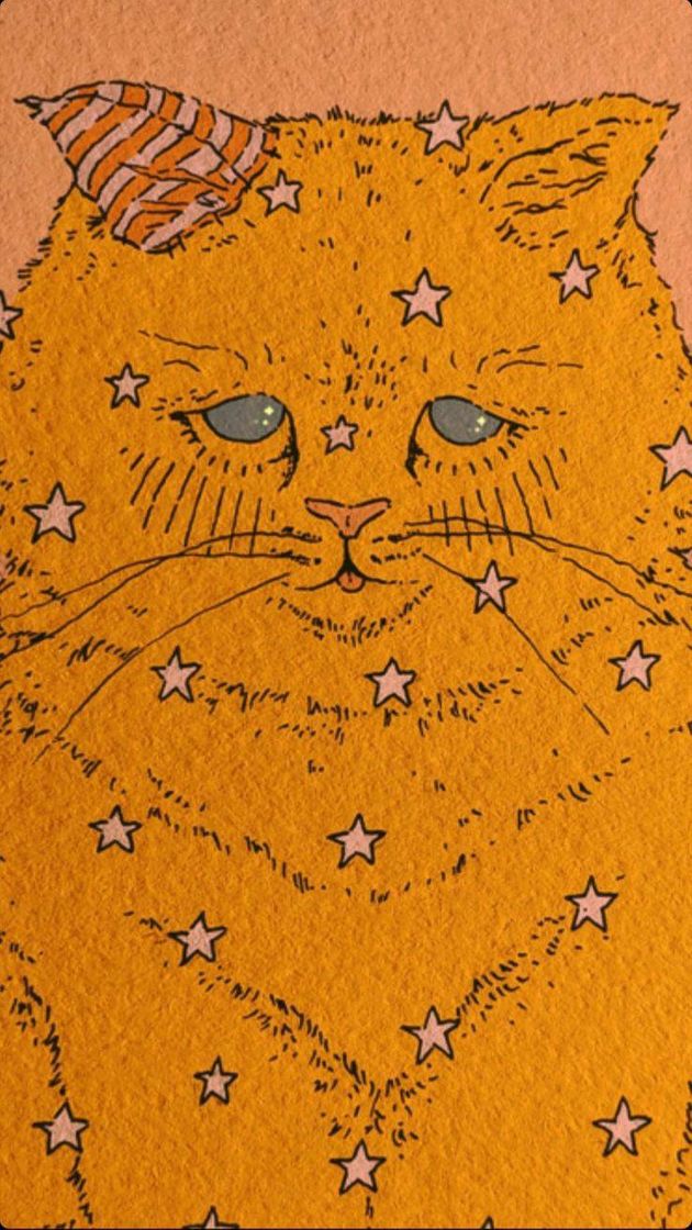 Social Poster gato