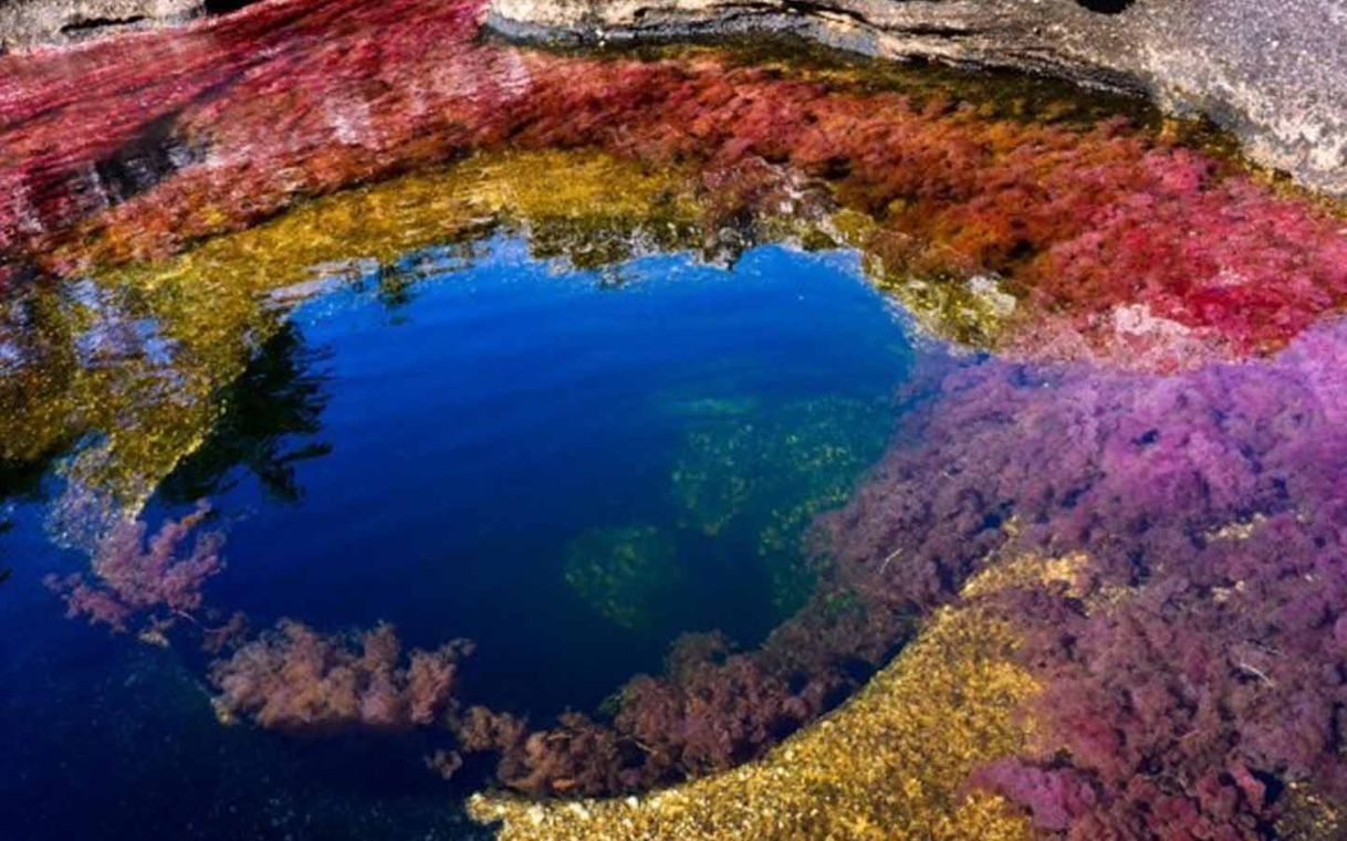 Lugar Caño Cristales