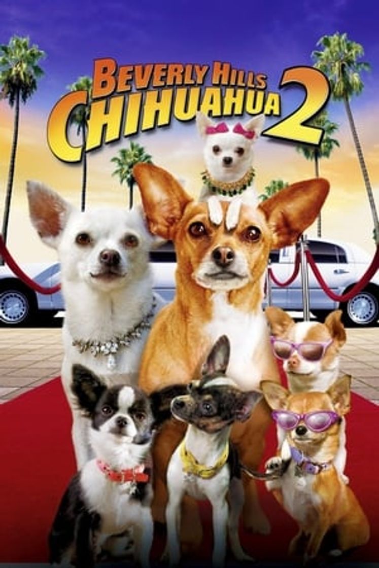 Película Un chihuahua en Beverly Hills 2