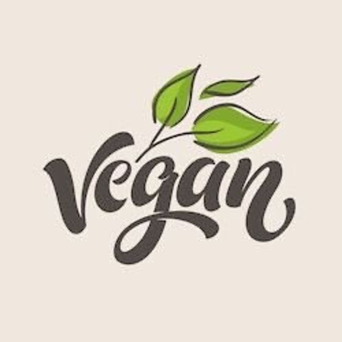 Moda Vector vegan 