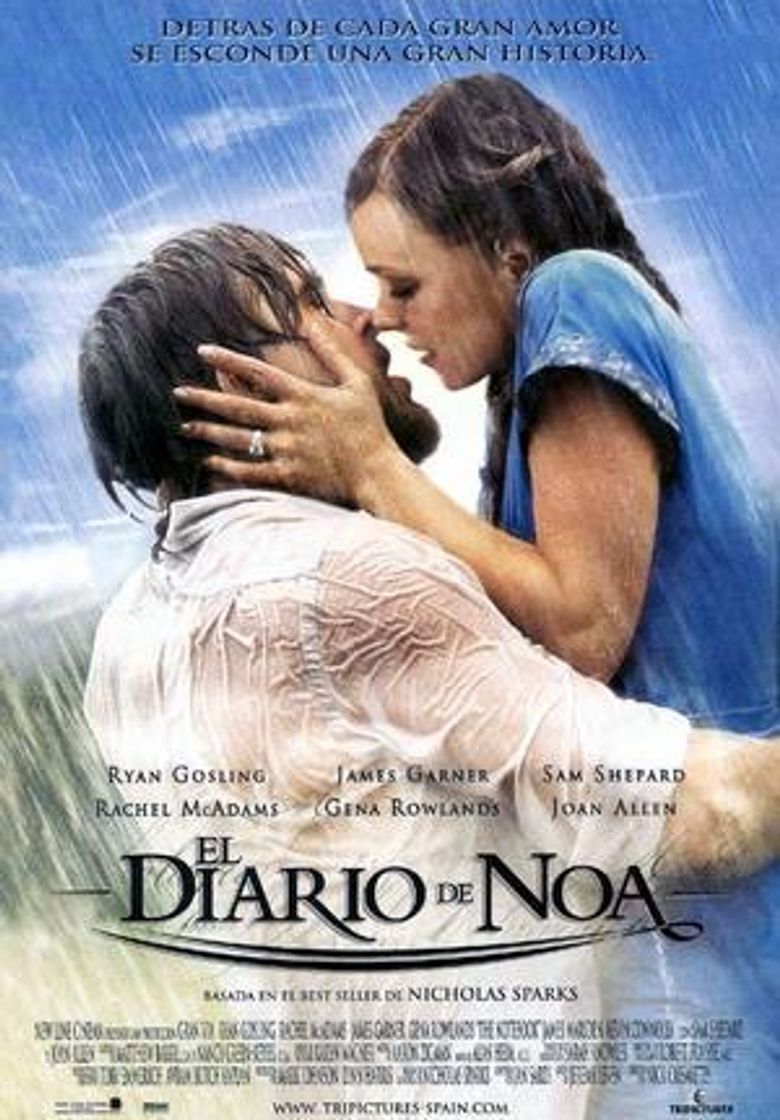 Movie El diario de Noa