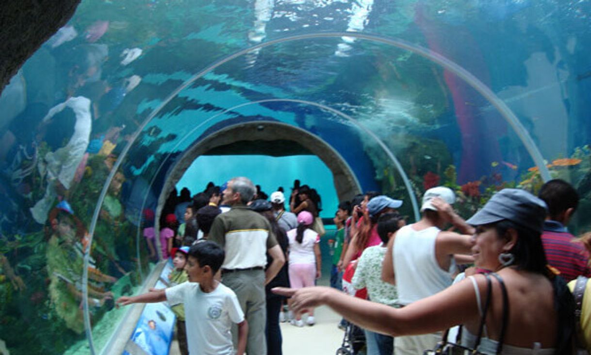 Lugar Zoológico Guadalara 