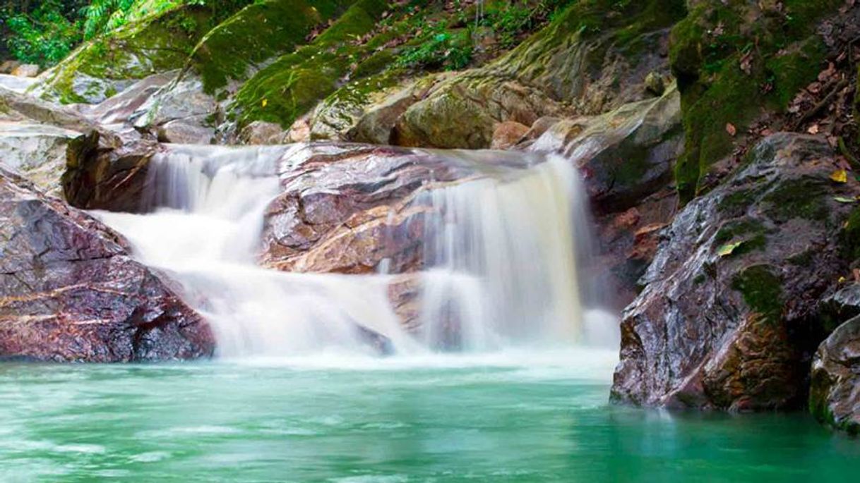 Lugares Río Minca