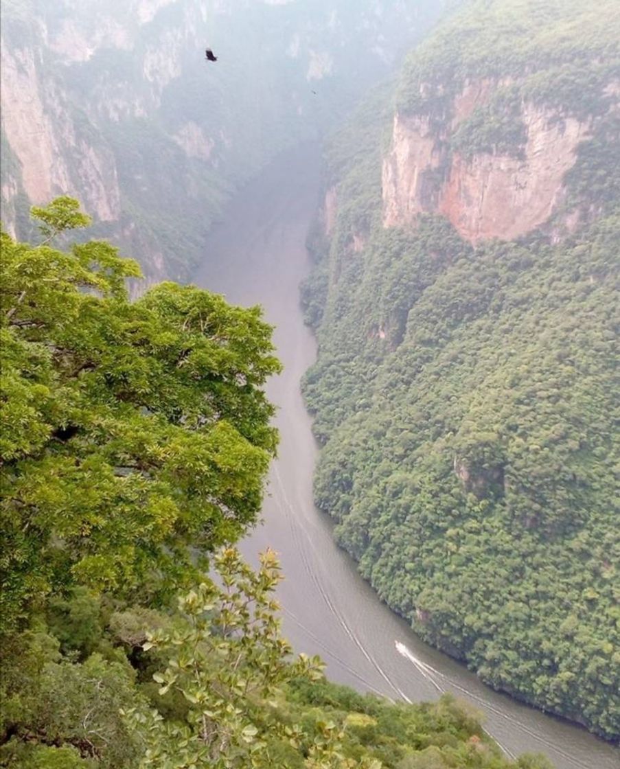 Place Cañon Del Sumidero