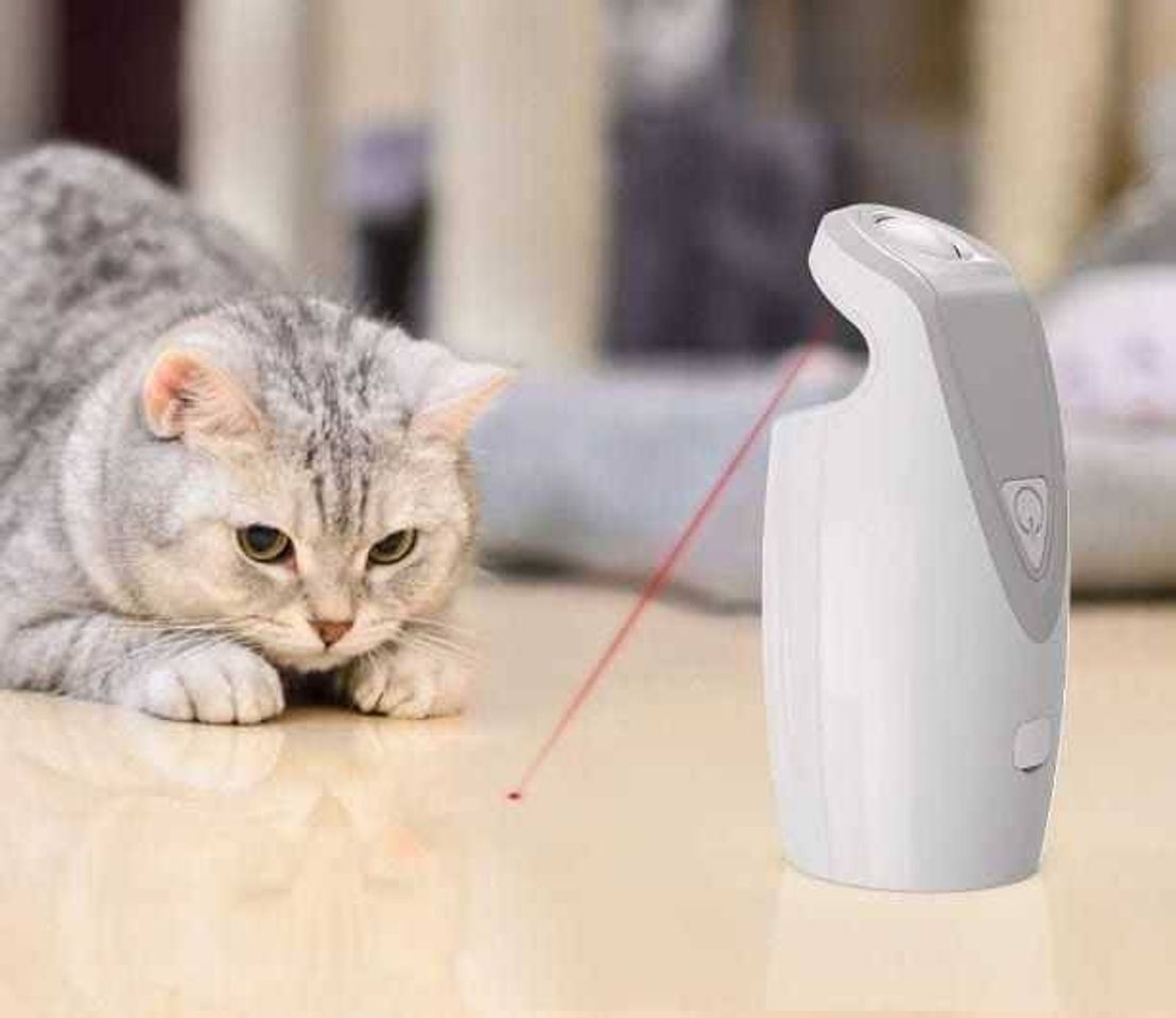 Social DADYPET Juguetes para Gatos Juguetes interactivos para Gatos y Perros rotación automática