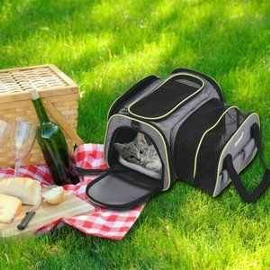Social DADYPET Transportin Gato, Transportin Perro Pequeño Mascotas Cómodo Bolso para Transporte en