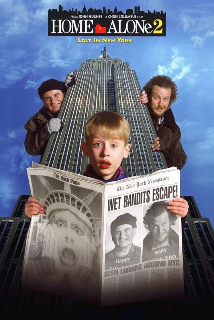 Película Solo en casa 2: Perdido en Nueva York
