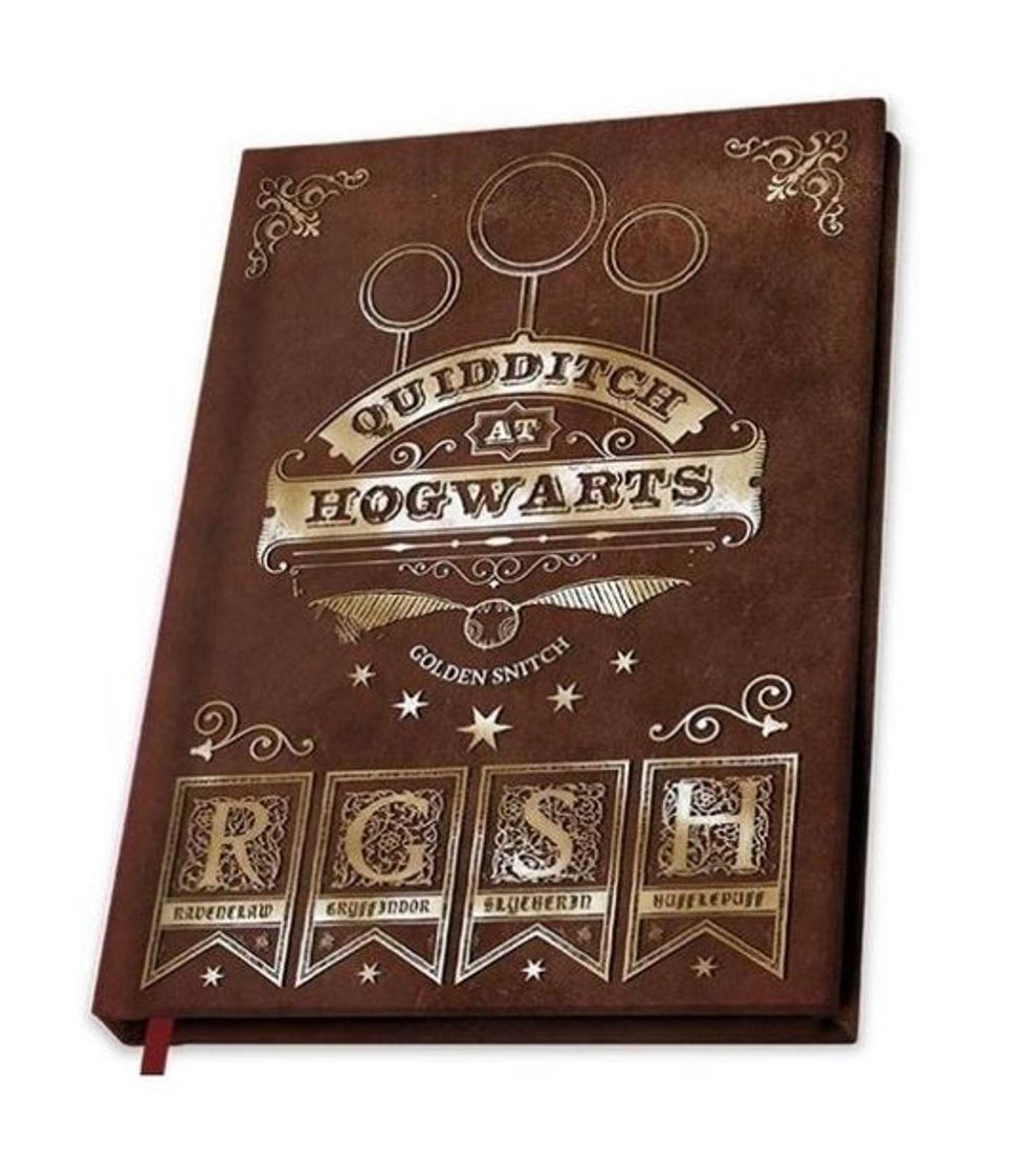 Social Libreta Harry Potter Quidditch
