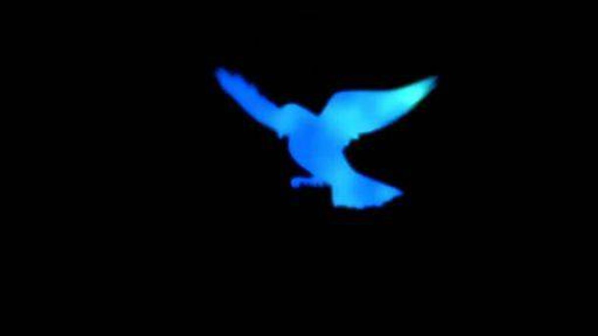 Canción ✓Blue Bird. OP.3.  
