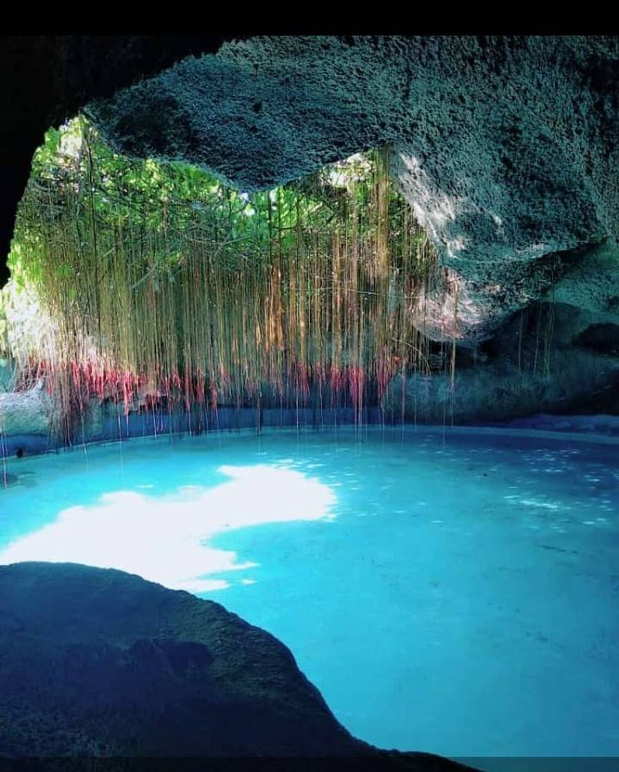 Place Acuario Nacional de Cuba